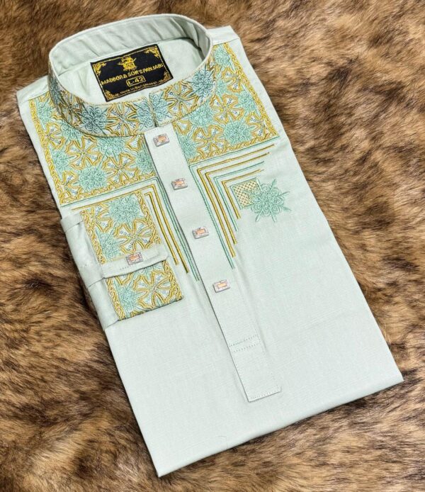 Stylish Fabrics Panjabi